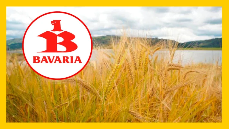 Bavaria abre 1.000 vacantes para cultivadores de cebada
