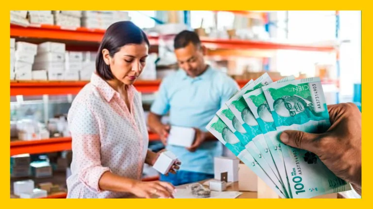 Subsidio al Emprendedor del Gobierno: Qué es y Cómo Aplicar