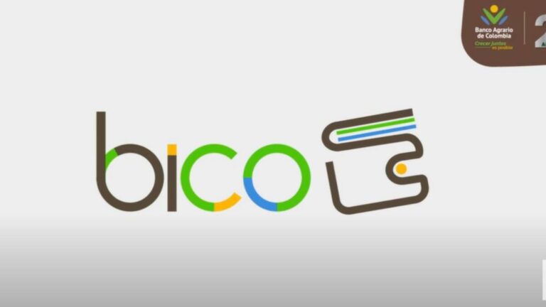 Cómo descargar Bico y registrarse para recibir subsidios