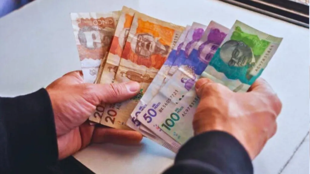 Fechas clave del nuevo ciclo de pago del IVA 2025