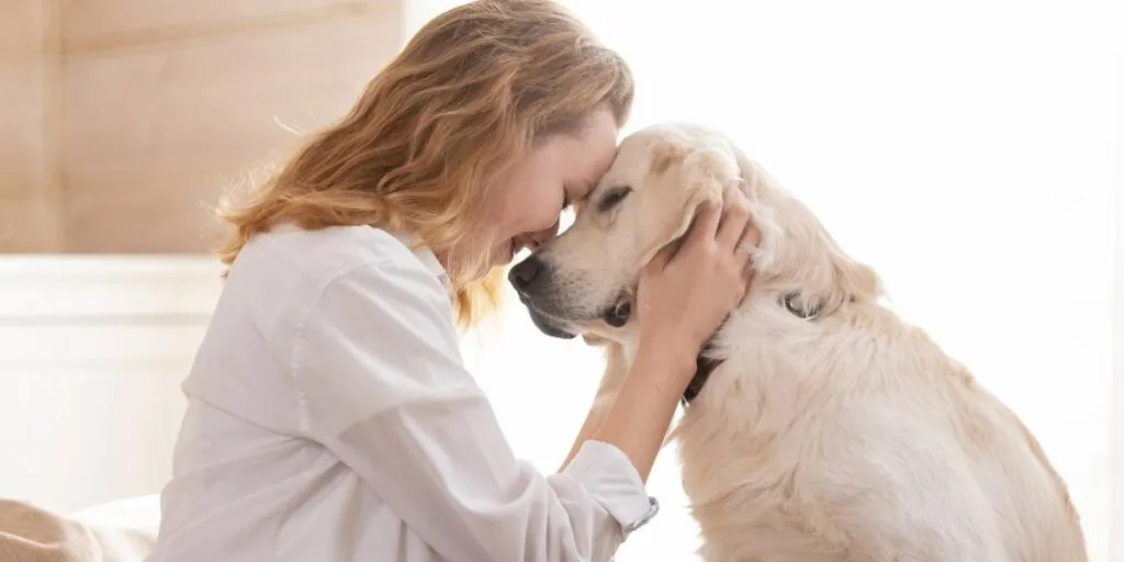 ¿Cómo postularse a un empleo de bienestar animal en Italia?