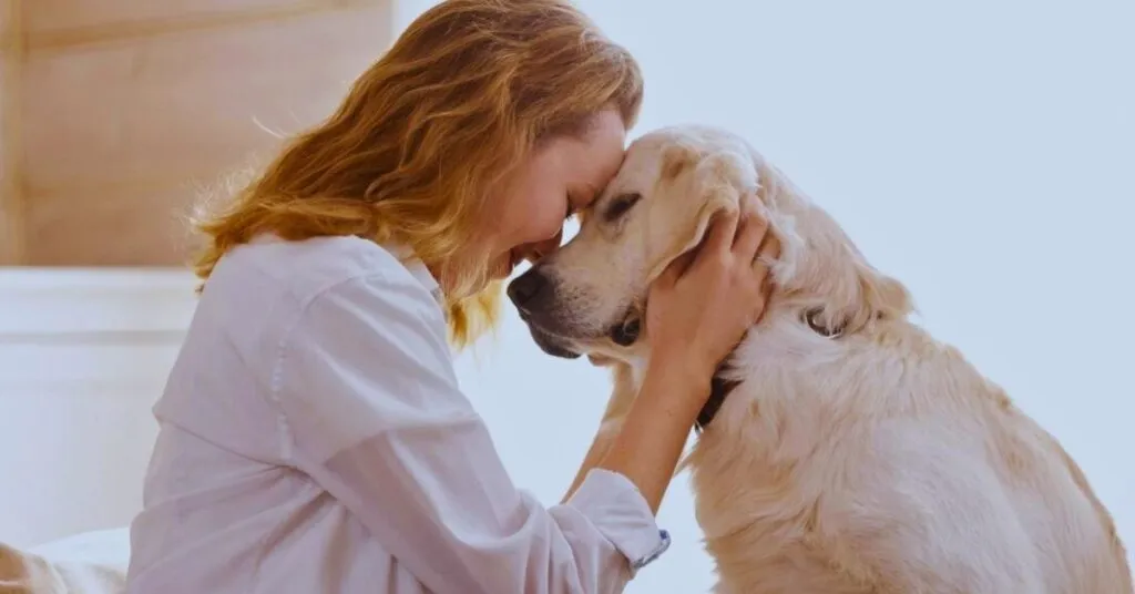 ¿Cómo postularse a un empleo de bienestar animal en Italia?