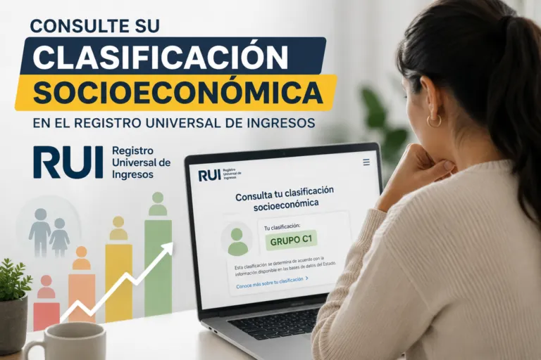 ¿Qué grupo del RUI le corresponde según sus ingresos?